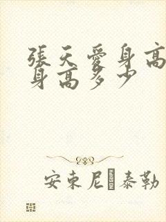 张天爱身高实际身高多少