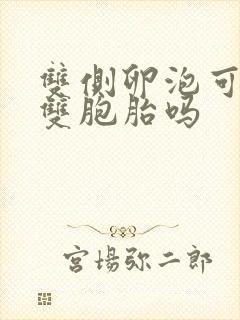 双侧卵泡可以怀双胞胎吗