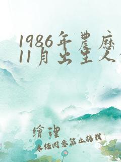 1986年农历11月出生人的命运