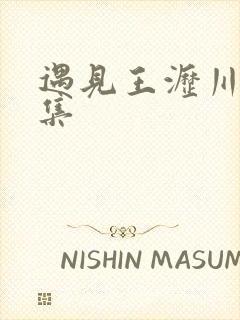 遇见王沥川第一集