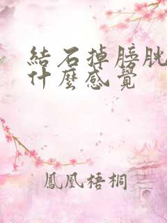 结石掉膀胱里是什么感觉