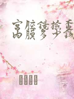 宫腔镜检查子宫内膜多少钱