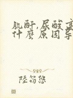 肌酐,尿酸高是什么原因导致的