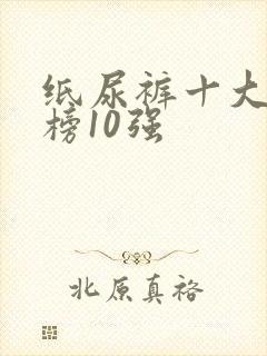 纸尿裤十大排行榜10强