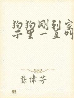 狗狗刚到家在笼子里一直叫怎么办