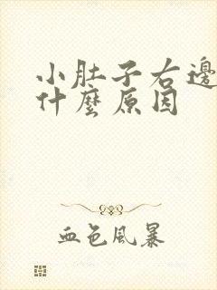 小肚子右边疼是什么原因