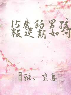 15岁的男孩子叛逆期如何去管教