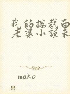 我的总裁白富美老婆小说未删减在线看