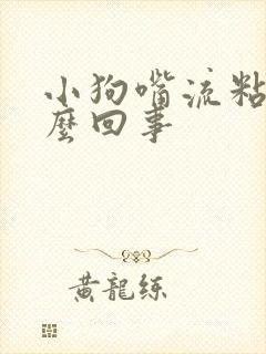 小狗嘴流粘液怎么回事