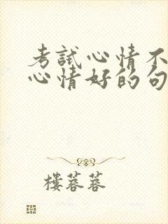 考试心情不好和心情好的句子