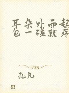 耳朵外面起了个包一碰就疼