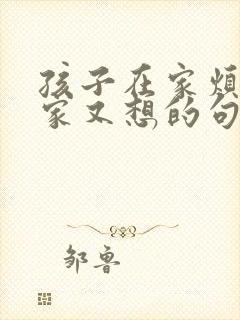 孩子在家烦不在家又想的句子