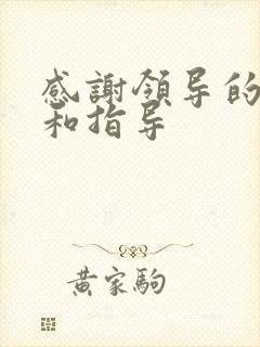 感谢领导的帮助和指导