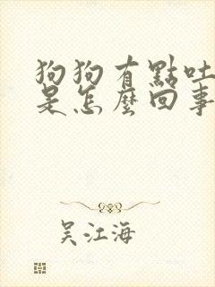 狗狗有点吐黄水是怎么回事