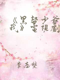 《黑帮少爷爱上我》电视剧