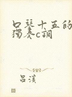 口琴十五的月亮独奏c调