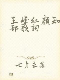 王峰红颜知己全部歌词