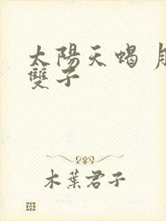 太阳天蝎 月亮双子