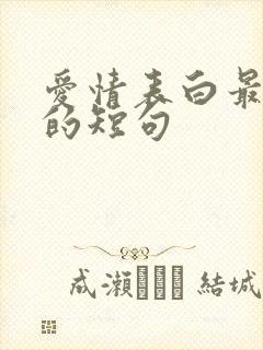 爱情表白最感动的短句