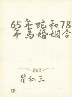 65年蛇和78年马婚姻合适吗