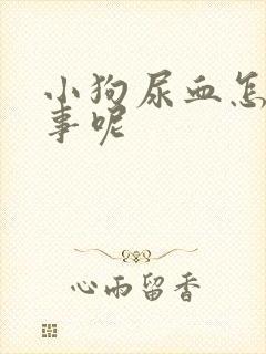 小狗尿血怎么回事呢