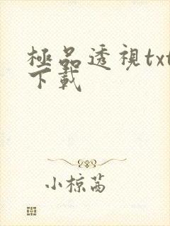 极品透视txt下载