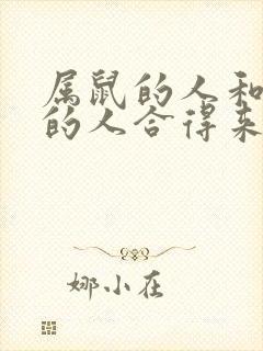 属鼠的人和属龙的人合得来吗