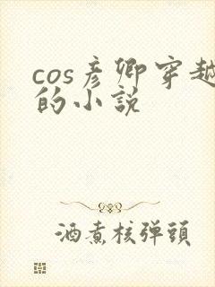 cos彦卿穿越的小说