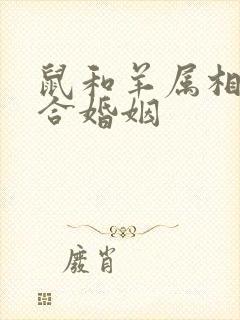 鼠和羊属相合不合婚姻