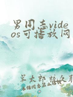 男同志videos可播放网站