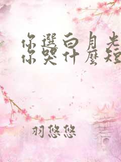 你选白月光我走你哭什么短剧大结局