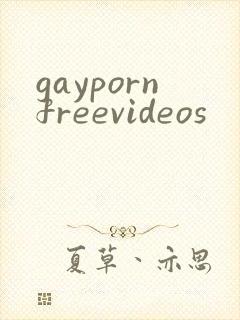gaypornfreevideos