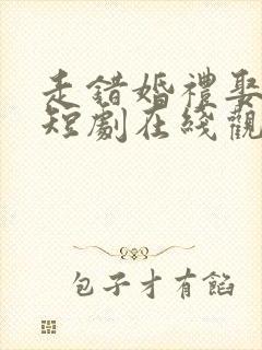 走错婚礼娶对妻短剧在线观看