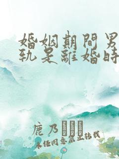 婚姻期间男方出轨是离婚时会怎么判