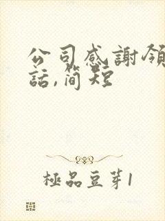 公司感谢领导的话,简短