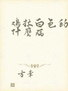 鸡拉白色的屎是什么病