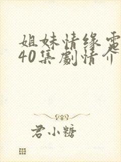 姐妹情缘电视剧40集剧情介绍