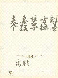 夫妻双方离婚两个孩子抚养权怎么判