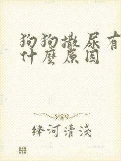 狗狗撒尿有血是什么原因