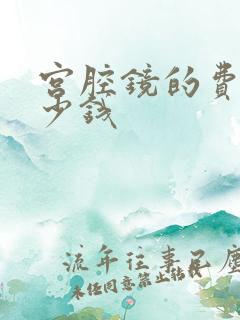 宫腔镜的费用多少钱