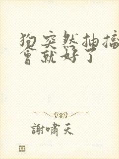 狗突然抽搐过一会就好了