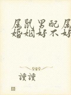 属鼠男配属羊女婚姻好不好