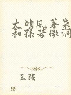 大明风华朱瞻基和孙若微洞房