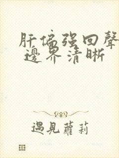 肝偏强回声结节 边界清晰