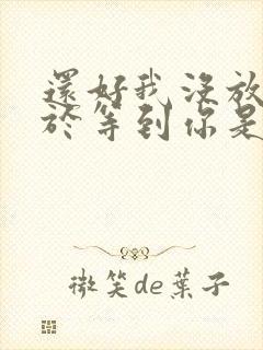 还好我没放弃终于等到你是什么歌