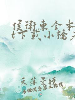 侯卫东全本txt下载小桥老树