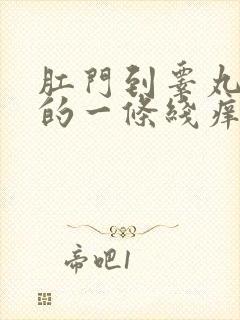 肛门到睾丸之间的一条线痒怎么回事