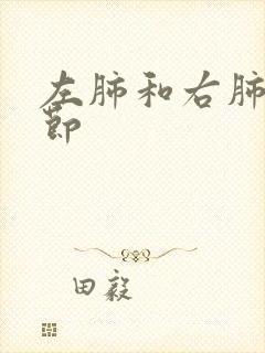 左肺和右肺有结节