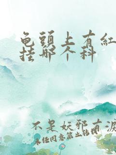 龟头上有红疙瘩挂哪个科