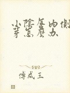 小阴唇内侧有肉芽怎么办